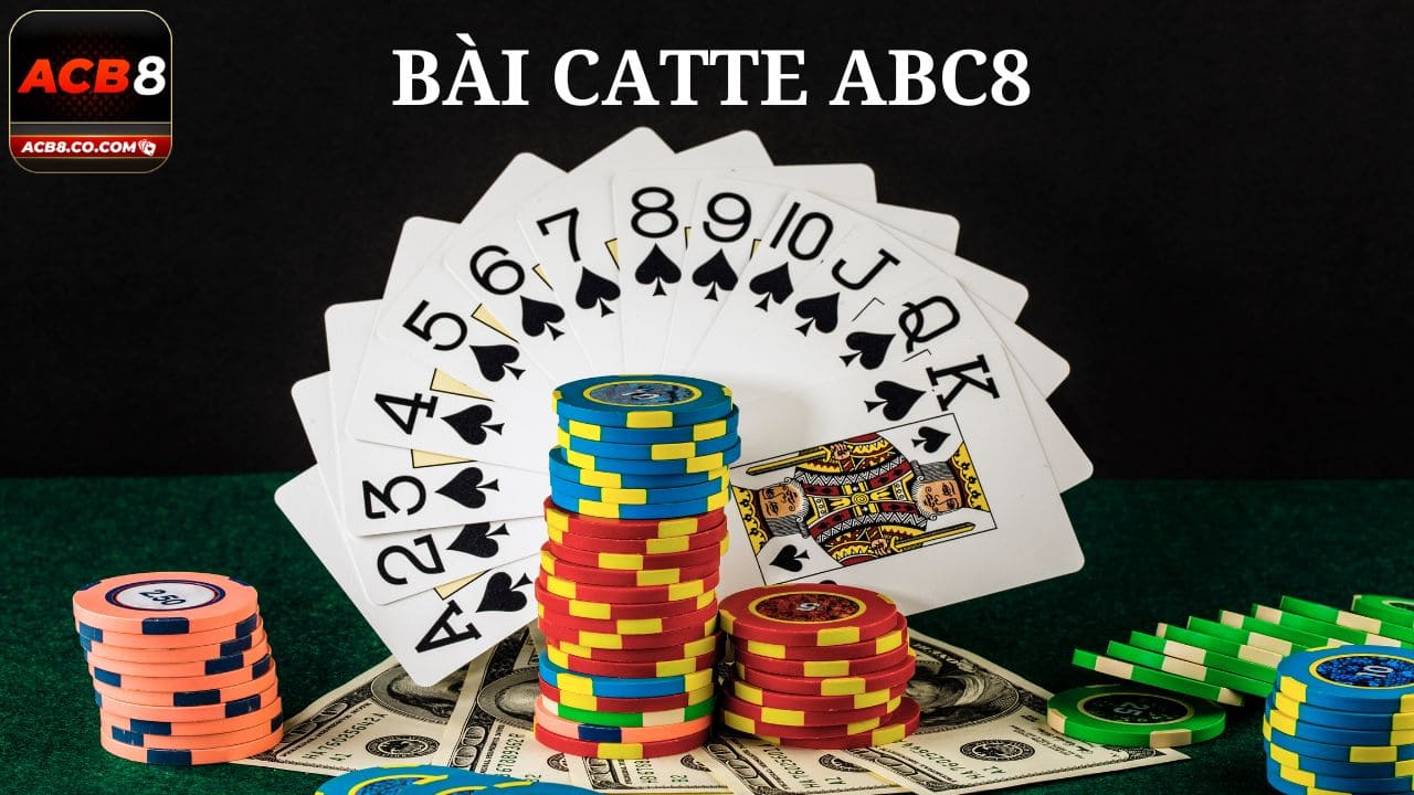 Cách Chơi Bài Catte: Hướng Dẫn Chi Tiết Cho Người Mới Bắt Đầu 3 Cách Chơi Bài Catte: Hướng Dẫn Chi Tiết Cho Người Mới Bắt Đầu image-1731646019421