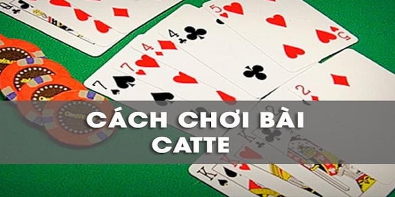 Cách Chơi Bài Catte: Hướng Dẫn Chi Tiết Cho Người Mới Bắt Đầu 7 Cách Chơi Bài Catte: Hướng Dẫn Chi Tiết Cho Người Mới Bắt Đầu image-1731646027315