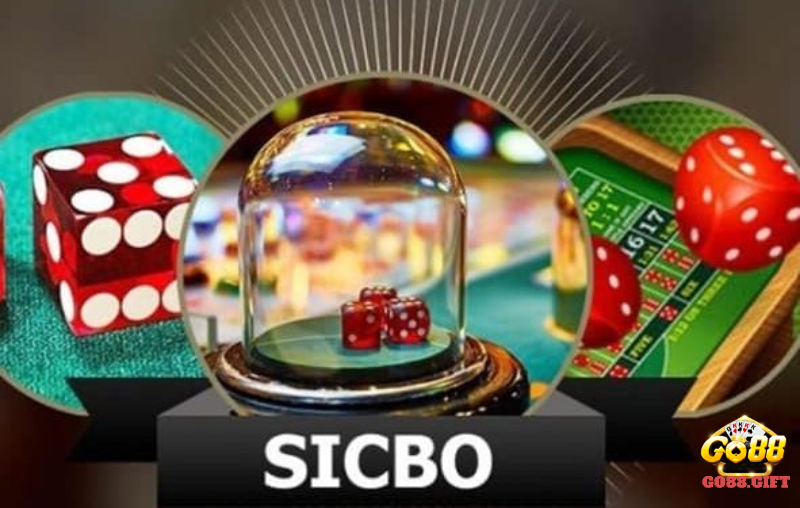Hướng Dẫn Cách Chơi Sicbo Chi Tiết Nhất Cho Người Mới Bắt Đầu 4 Hướng Dẫn Cách Chơi Sicbo Chi Tiết Nhất Cho Người Mới Bắt Đầu image-1731647741895
