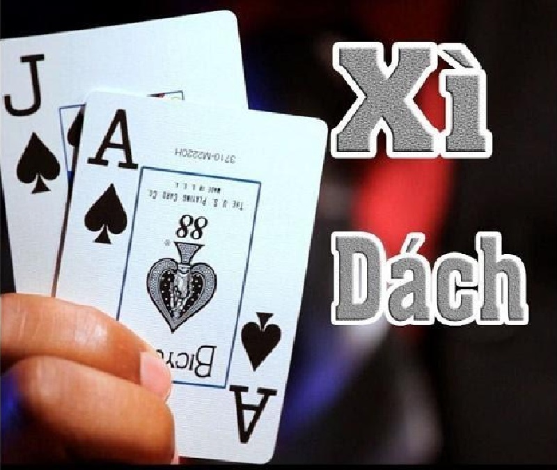 Cách Chơi Xì Dách: Hướng Dẫn Chi Tiết Cho Người Mới Bắt Đầu 2 Cách Chơi Xì Dách: Hướng Dẫn Chi Tiết Cho Người Mới Bắt Đầu image-1731646384638