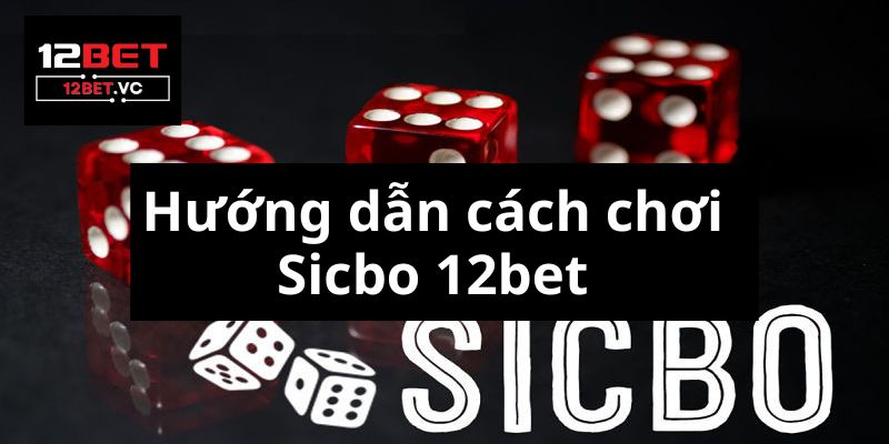 Sicbo Là Gì? Khám Phá Trò Chơi Xí Ngầu Đầy Hấp Dẫn Cho Người Mới 3 Sicbo Là Gì? Khám Phá Trò Chơi Xí Ngầu Đầy Hấp Dẫn Cho Người Mới image-1731645193154