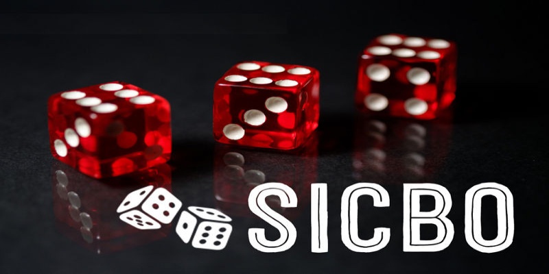 Sicbo Là Gì? Khám Phá Trò Chơi Xí Ngầu Đầy Hấp Dẫn Cho Người Mới 4 Sicbo Là Gì? Khám Phá Trò Chơi Xí Ngầu Đầy Hấp Dẫn Cho Người Mới image-1731645209820