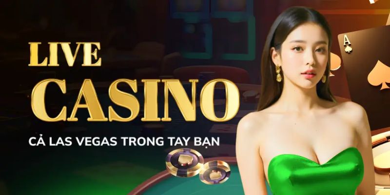 11BET - Nhà cái cá cược uy tín với nhiều ưu đãi lớn 3 11bet-2